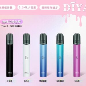 diya叮啞一代主機